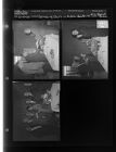 Service of 25 yrs in Public Health to Mrs. Hannah Brown (3 Negatives) (October 10, 1960) [Sleeve 29, Folder b, Box 25]